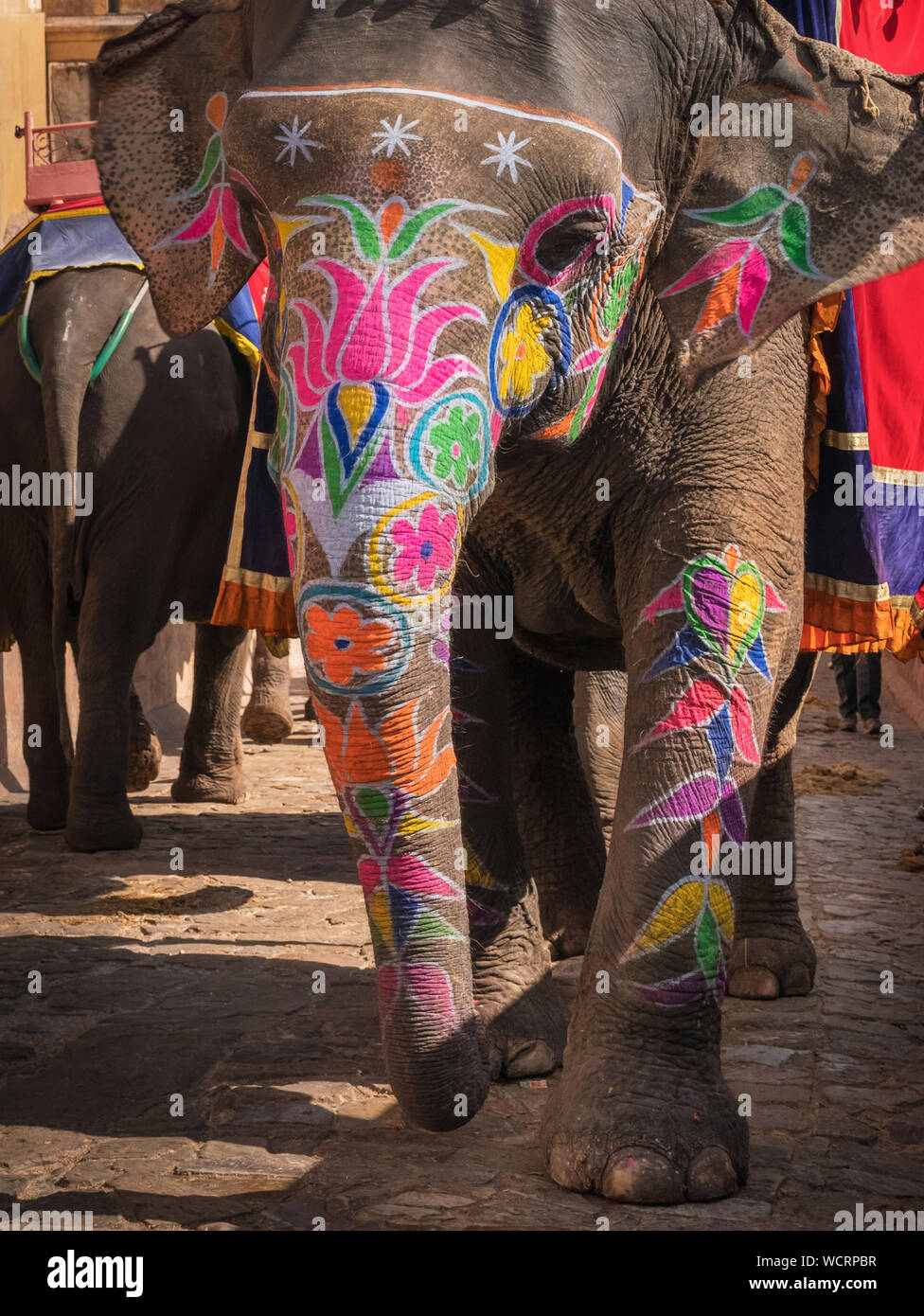 Indian painted elephants hi-res stock photography and images - Alamy