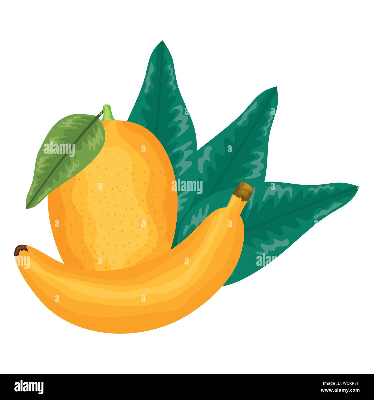 Image Details INH_18984_25763 - Bunch of fresh and ripe banana fruits retro  badge, bordered with header Organic Farm, ribbon banner, stars and green  leaves. Banana fruits icon for greengrocery symbol or food