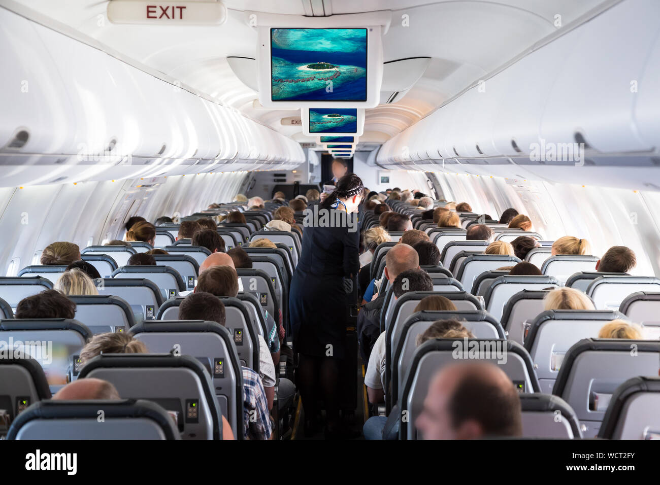 Inside view on passenger and cabin crew people on an airline airplane during flight to vacation. Transportation tourism aviation concept Stock Photo