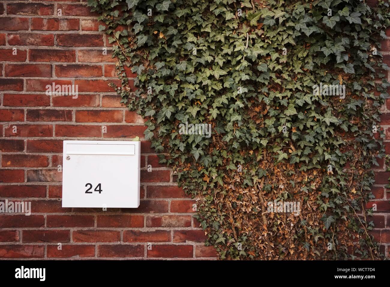 Mailbox on white wall number hi-res stock photography and images - Alamy