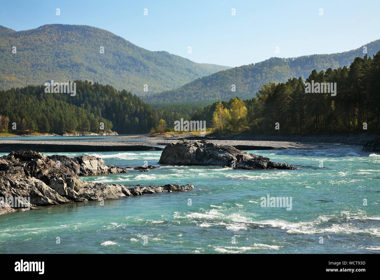 Katun river in Manzherok village. Altai Republic. Russia Stock Photo