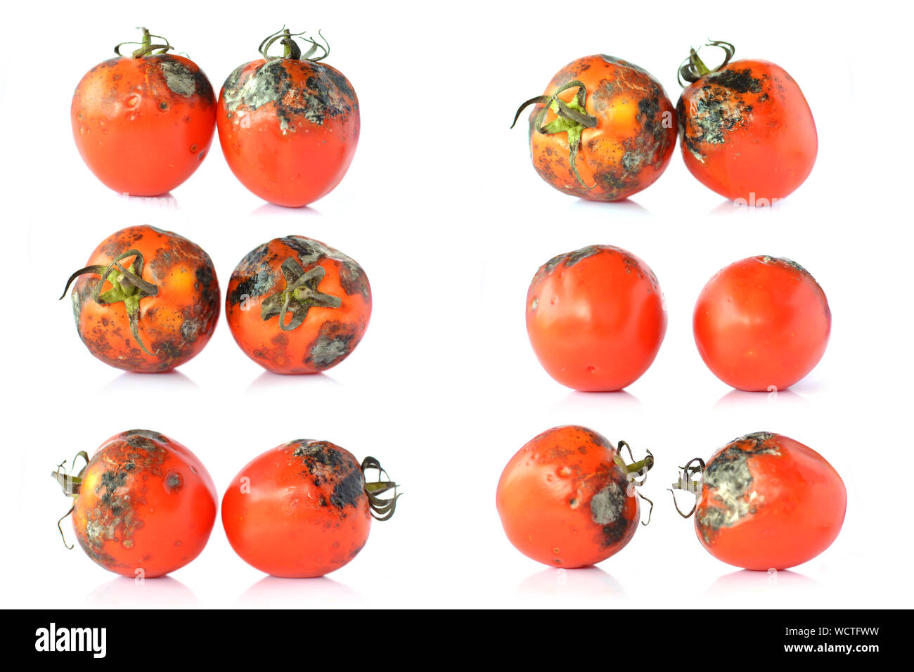 Rotten timber or wood Cut Out Stock Images & Pictures Alamy