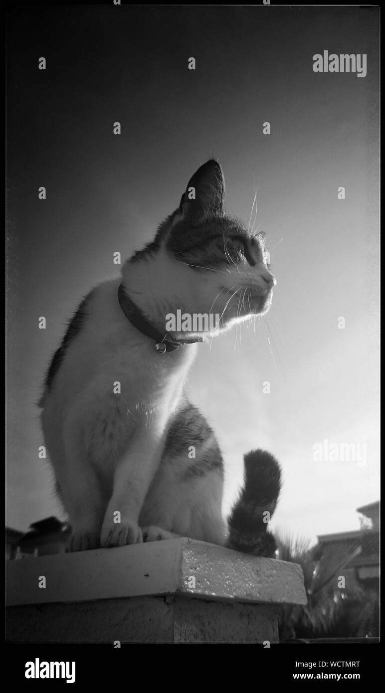On ledge Black and White Stock Photos & Images Alamy