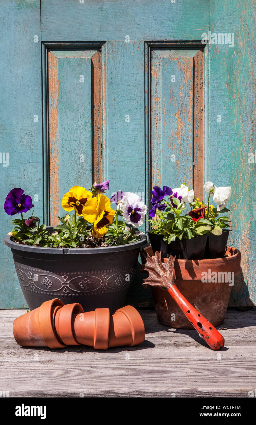 Garden Tools Still Life High Resolution Stock Photography And Images Alamy