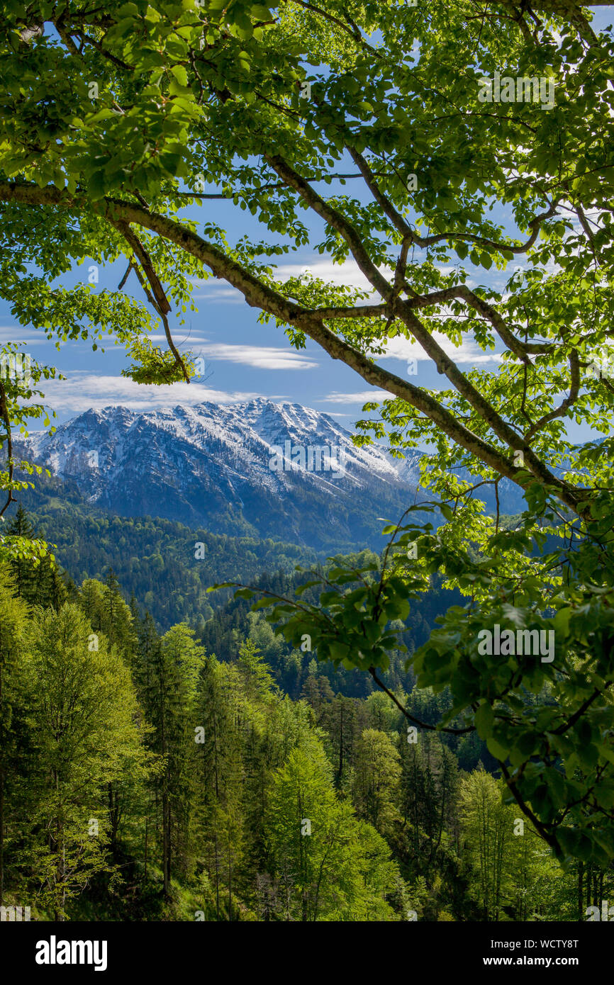 snow covered mountain range , named Ötscher, in lower Austria with a lush forest in the foreground Stock Photo