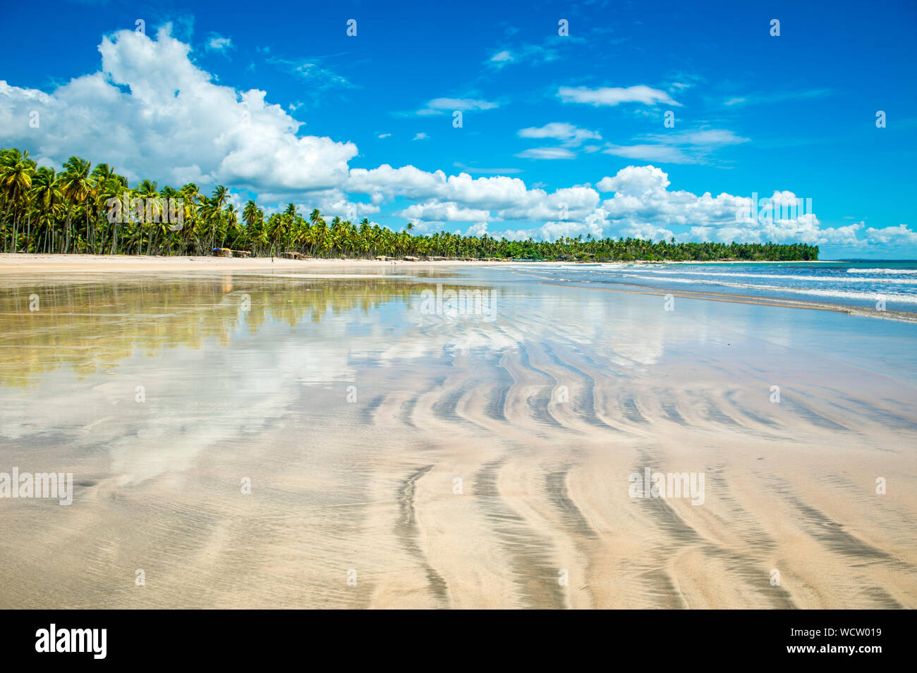 Scenic tropical background of the deserted shore of a remote island ...