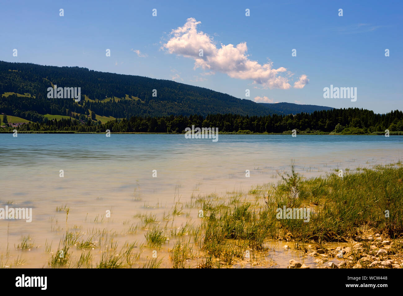Lac de Joux, Switzerland, in summer Stock Photo Alamy