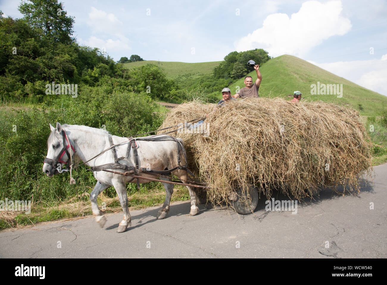 A horse pulls an overloaded hay cart with three men sitting on top, one  waving his cap. Medias, Transylvania, Romania Stock Photo - Alamy