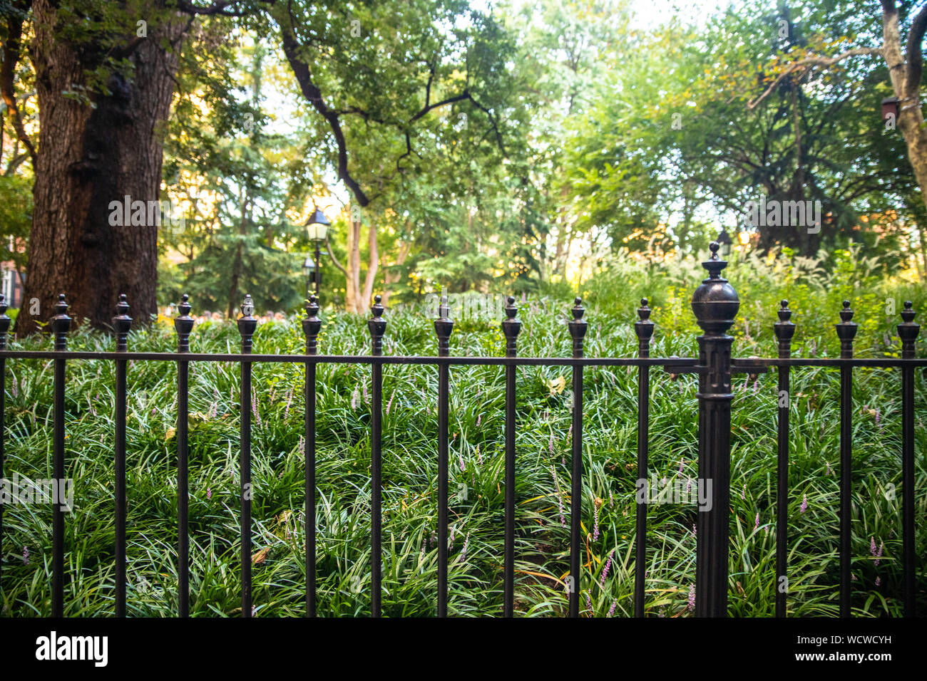 Green wrought iron fence hi-res stock photography and images - Alamy