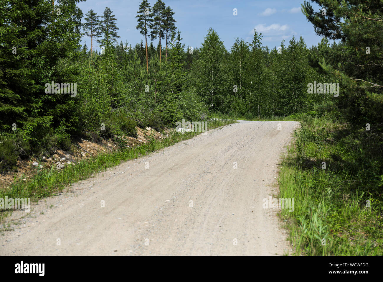 Graveled forest road in rural Finland Stock Photo - Alamy