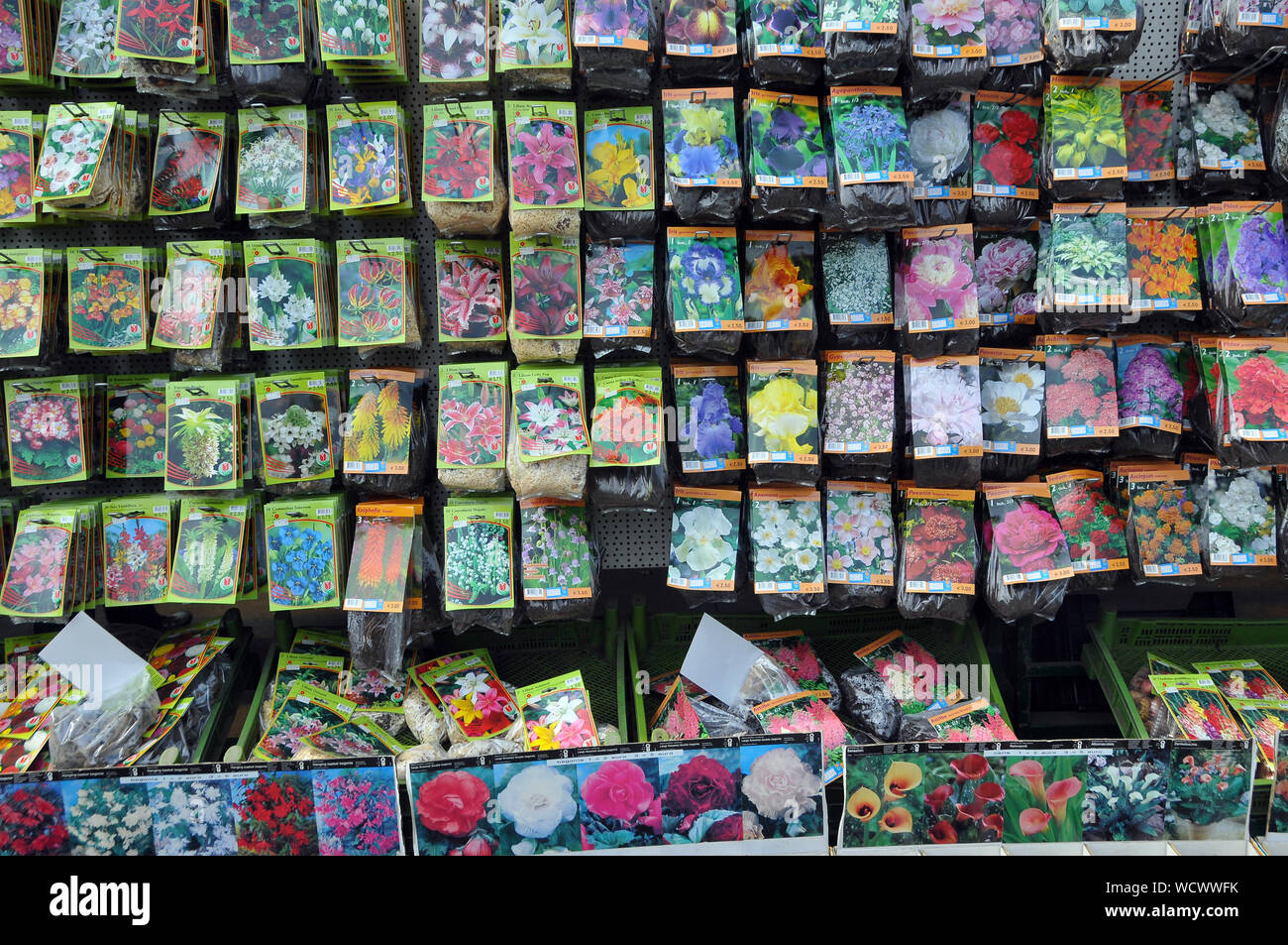 flower bulbs, Keukenhof, Netherlands, Europe Stock Photo Alamy