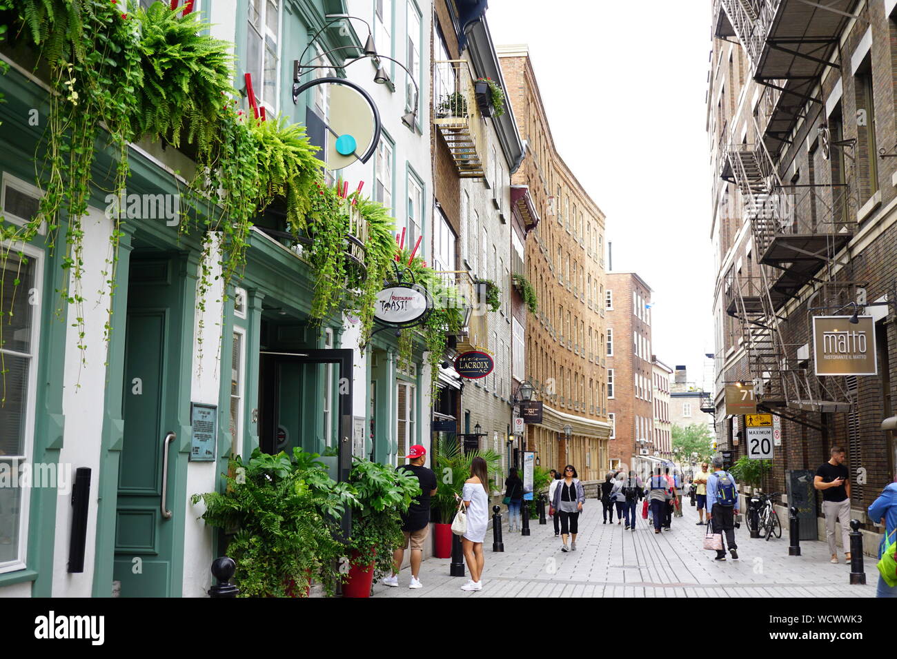 Travelers (beautiful architecture and greenery on buildings), Old Quebec City, Canada Stock Photo