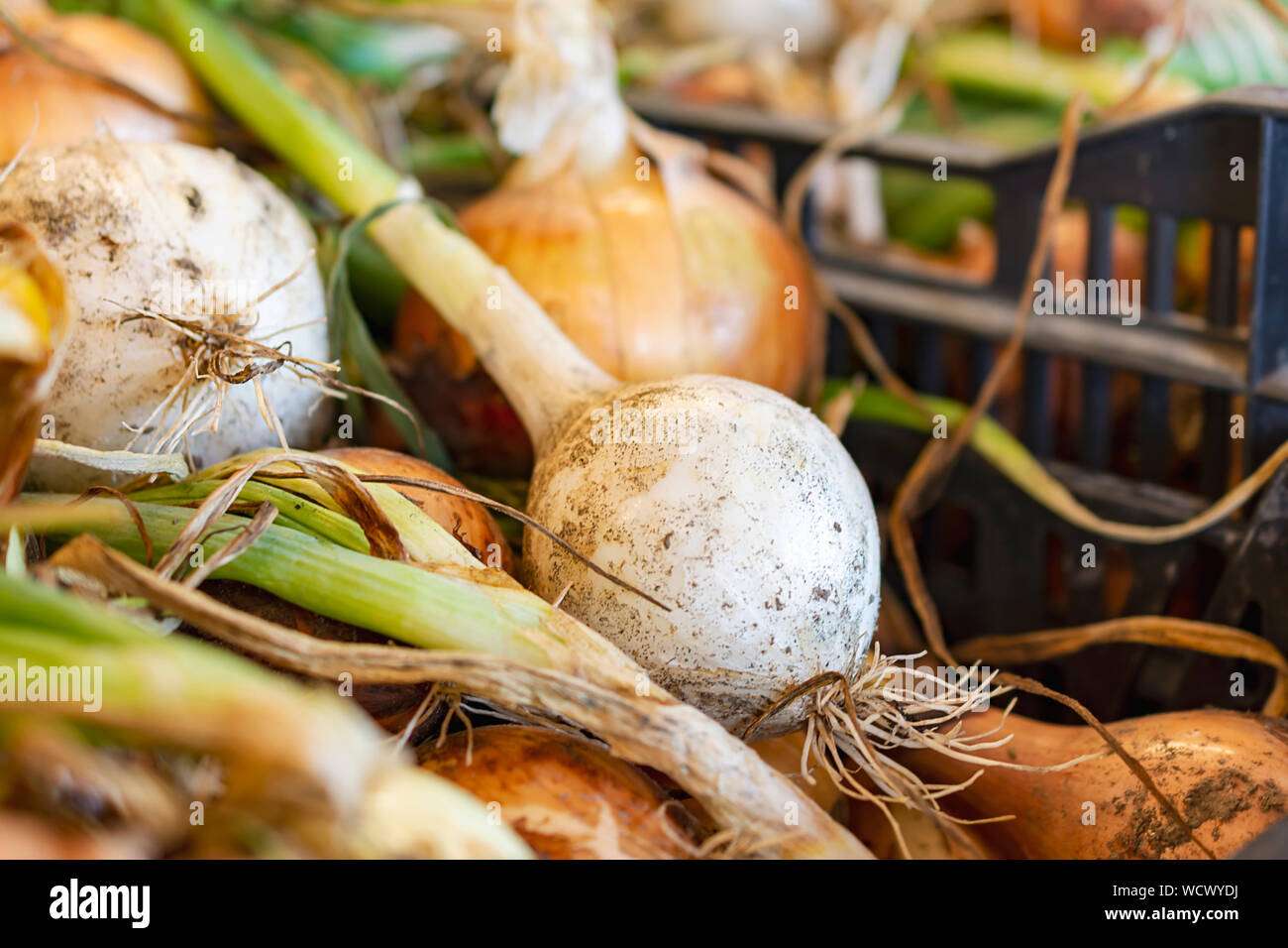 Roadside produce stand stall hi-res stock photography and images - Alamy