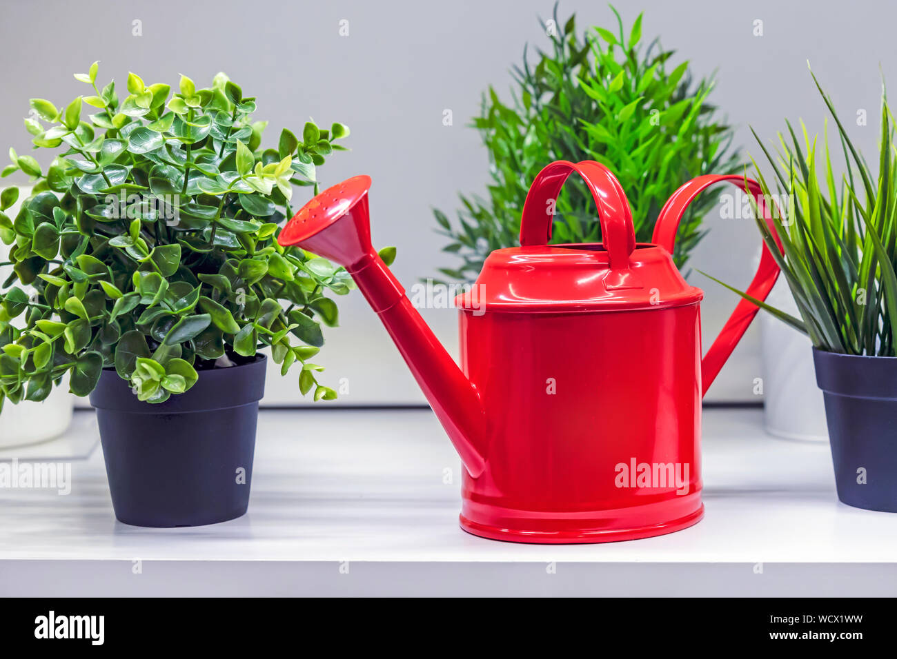 Red watering can for watering flowers and plants Stock Photo Alamy