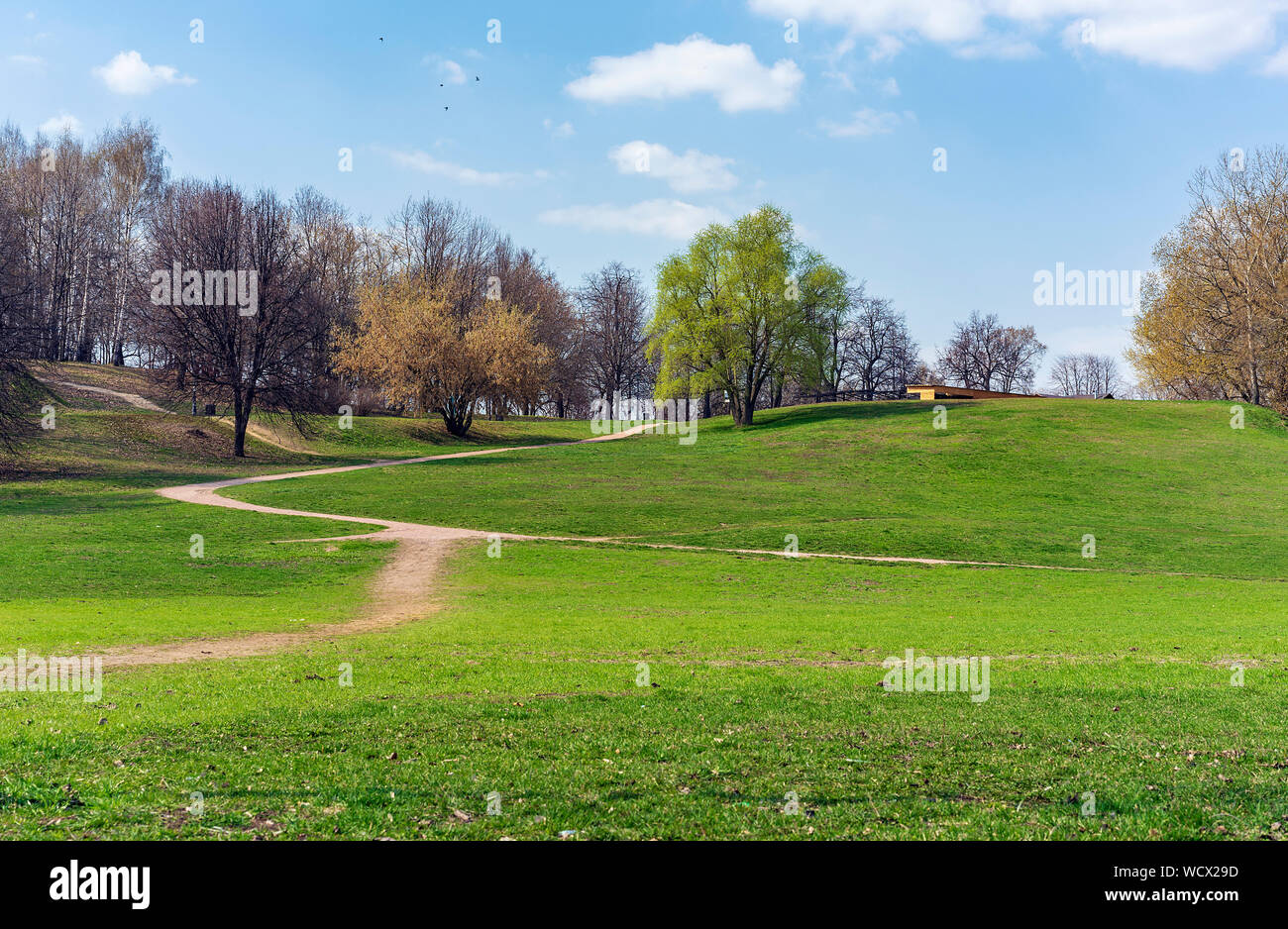 Spring landscape in a city park with green trees and footpaths Stock ...