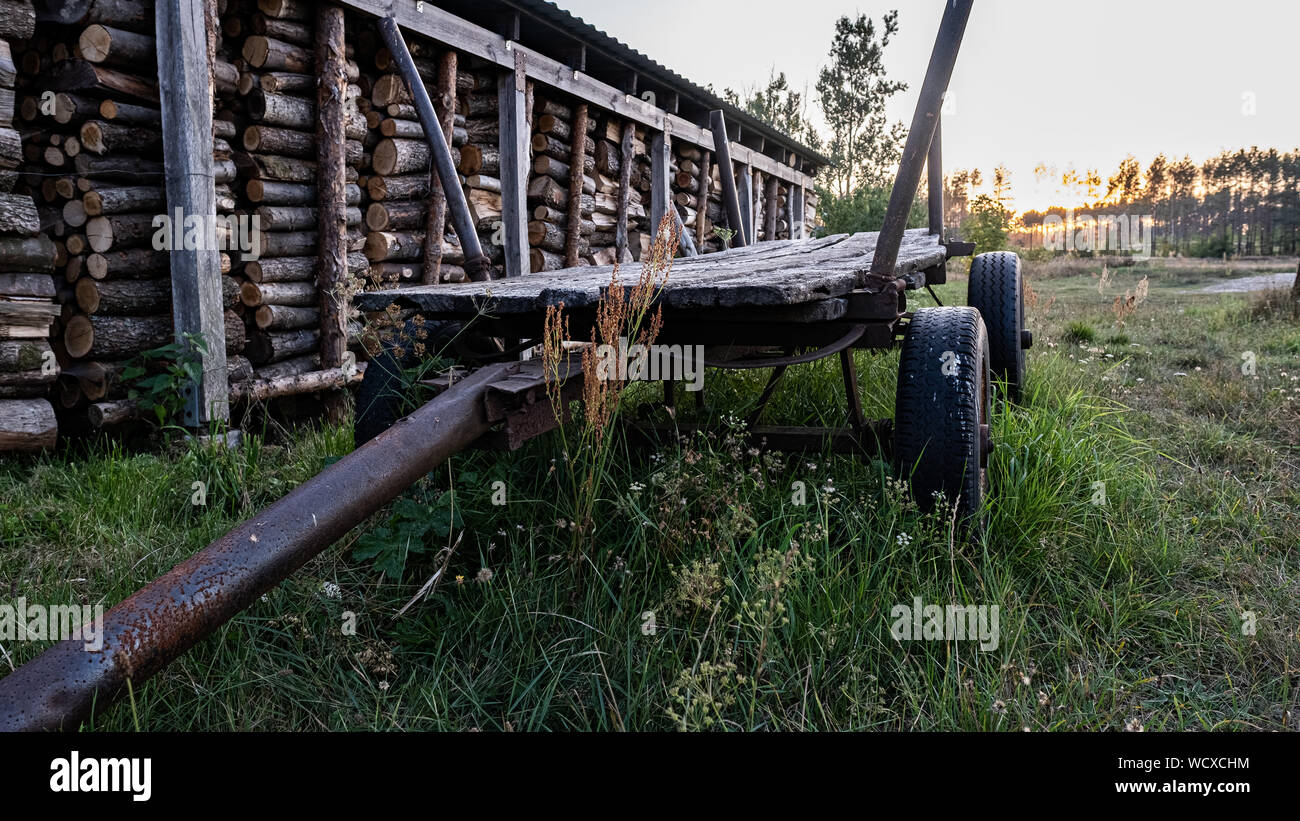 The old ladder wagon on the meadow in Pomerania, Poland. Stock Photo
