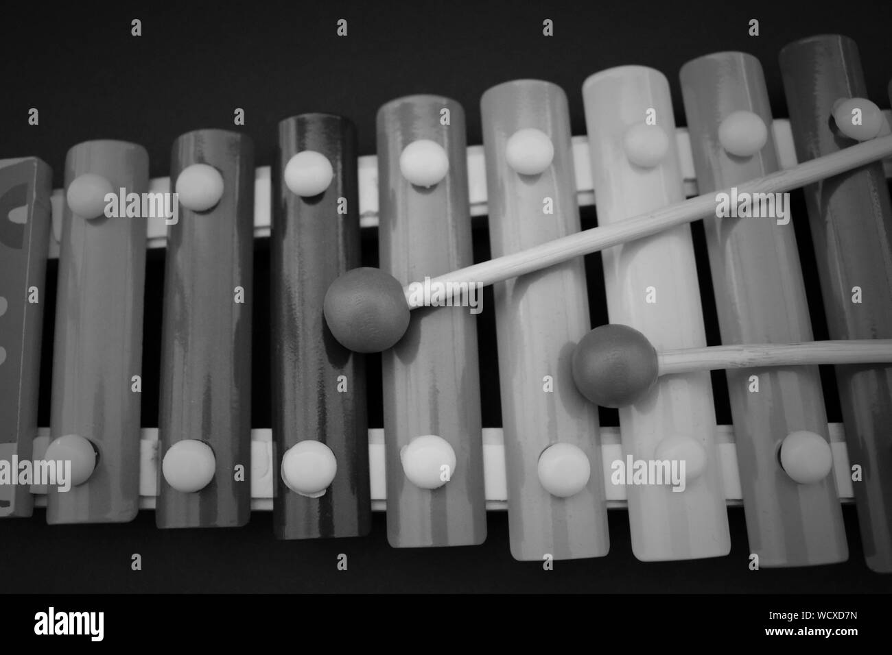 Xylophone Black and White Stock Photos & Images Alamy