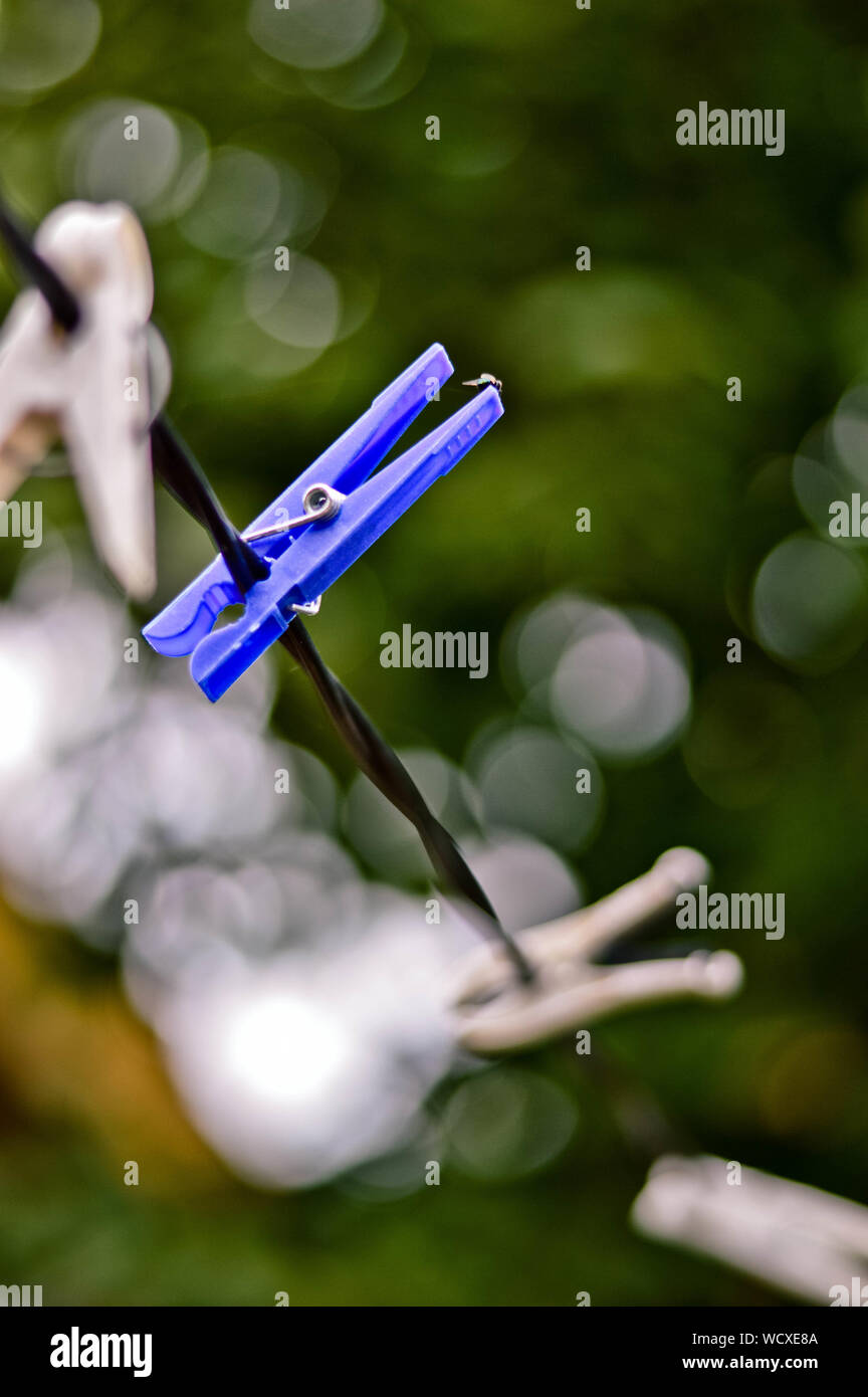 Clothespin Hanging On Rope Stock Photo Alamy