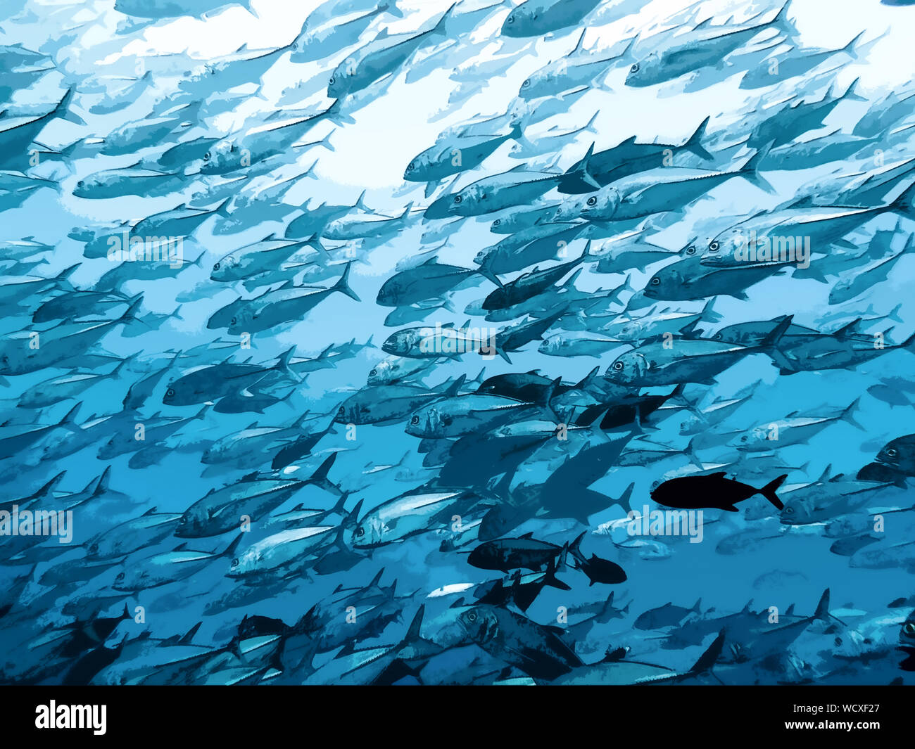 Fish, Shoaling and schooling - Underwater Art Illustration Stock Photo