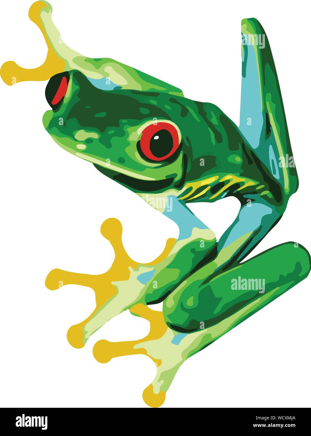 Red Eyed Tree Frog Vector Stock Vector