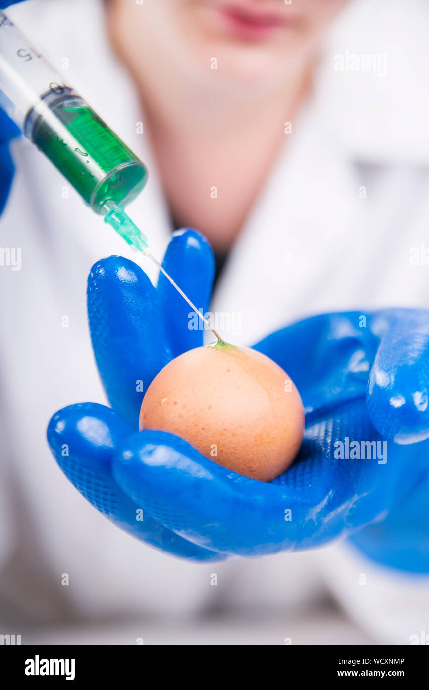Midsection Of Nurse Injecting Egg Stock Photo