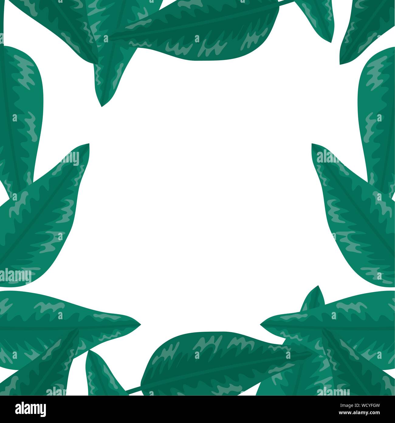 exotic and tropical leafs plants frame vector illustration design Stock ...