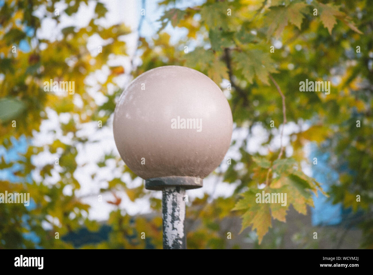 Low Angle View Of Lamp Post Against Trees Stock Photo