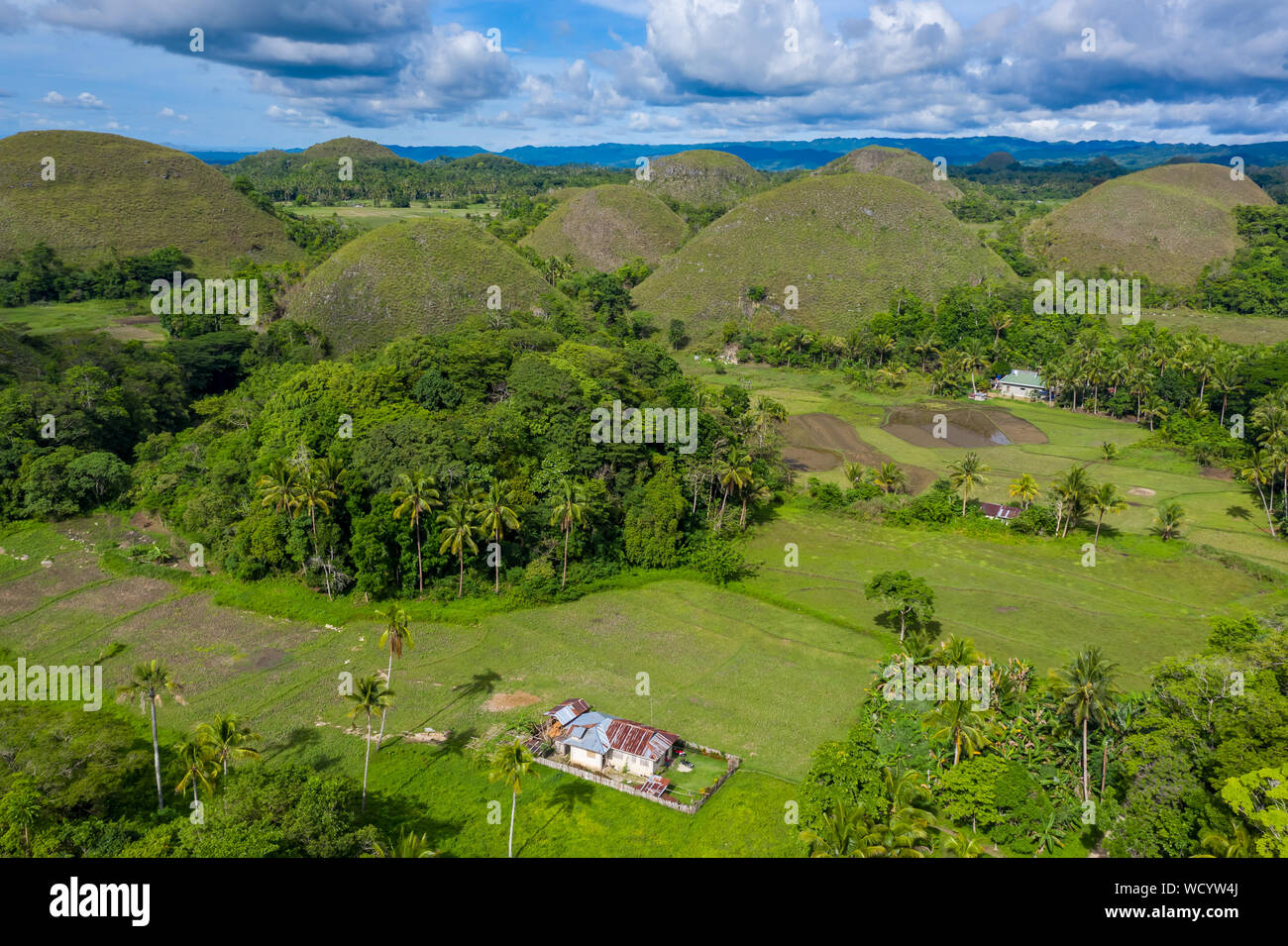 Aerial drone view of the limestone karsts in the Chocolate Hills area
