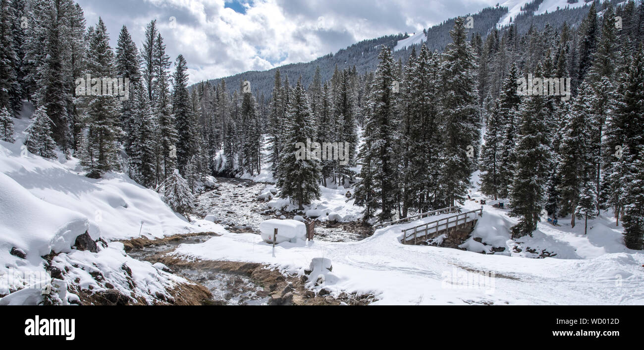 Snow on evergreen hi-res stock photography and images - Alamy