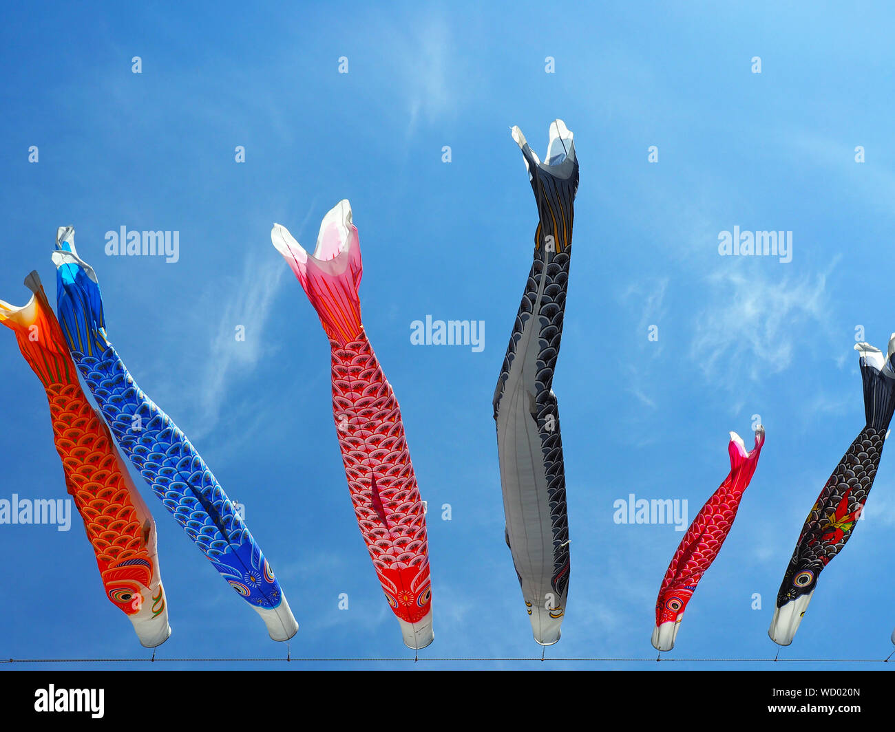 Carp Streamer Blowing In Wind Stock Photo Alamy Carp Streamer Blowing In Wind Stock Photo Alamy