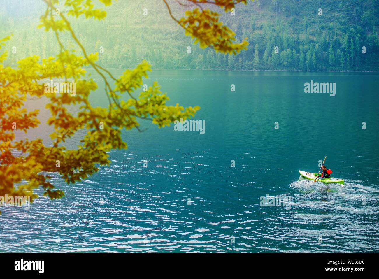 Branches Against Man Kayaking On Turquoise River Stock Photo