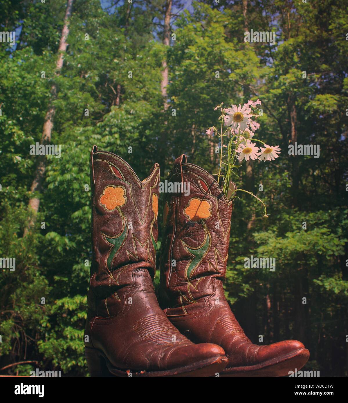 shoe trees for cowboy boots
