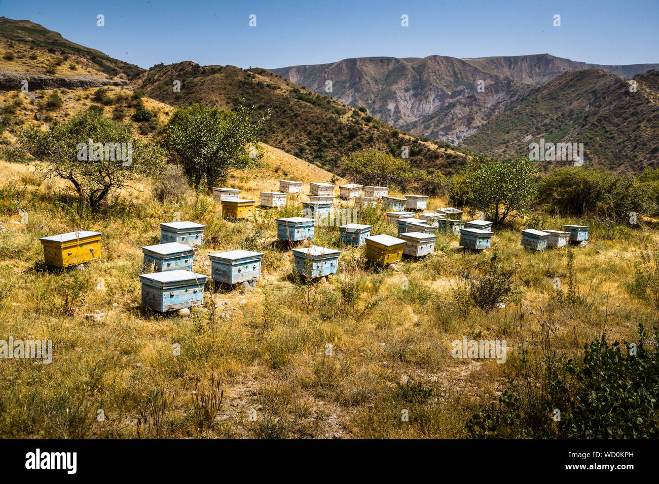 Bee Hives near Doghiston Jamoat, Tajikistan Stock Photo