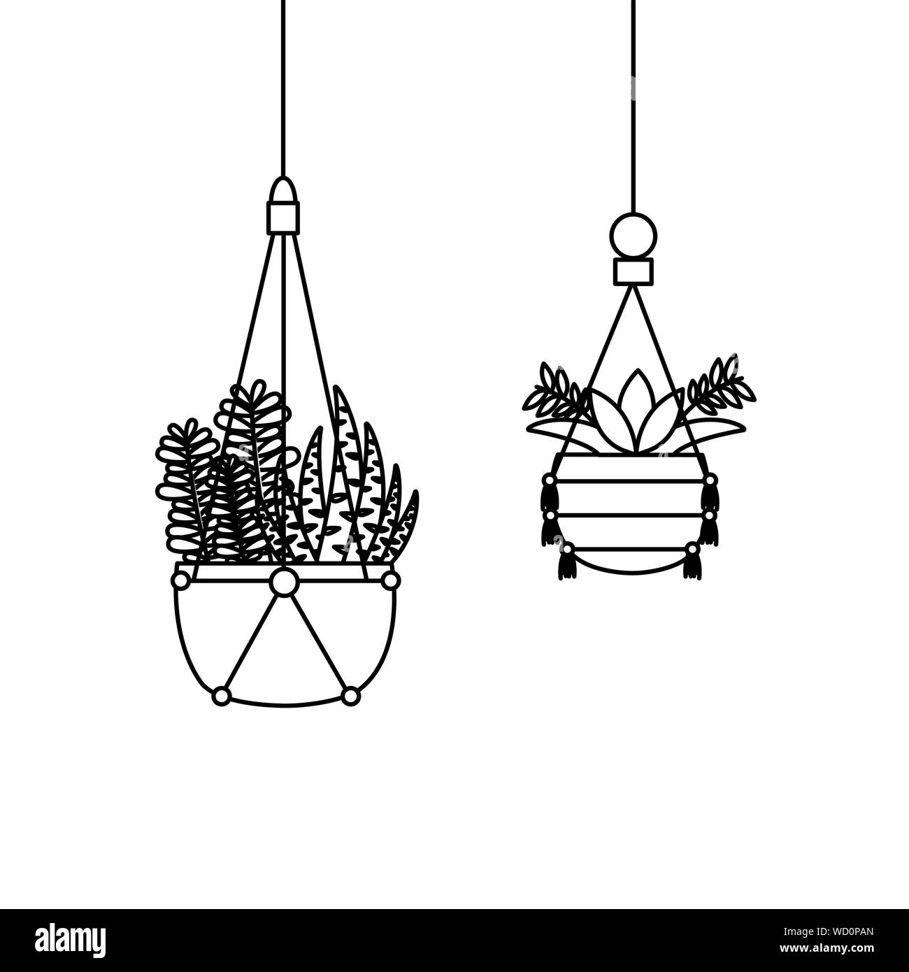 Hanging plants inside pots vector design Stock Vector
