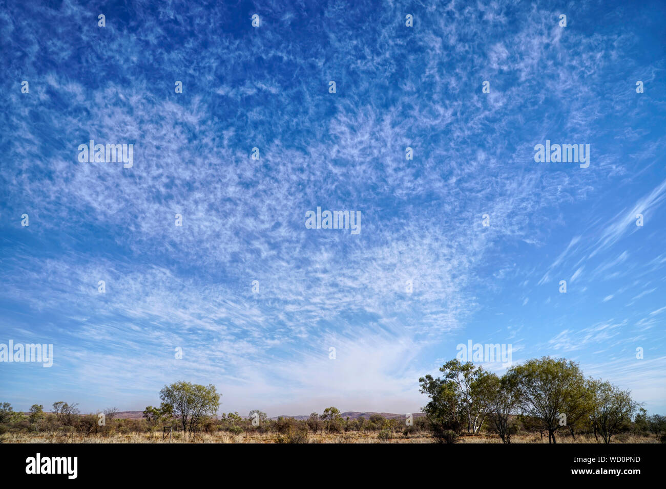 Dry arid landscape in Northern Australia on a windy day with dust clouds in the background Stock Photo
