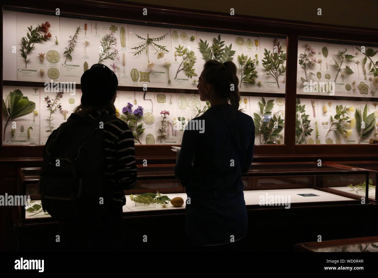 Cambridge, Massachusetts, USA. 14th Apr, 2019. One of Harvard's most