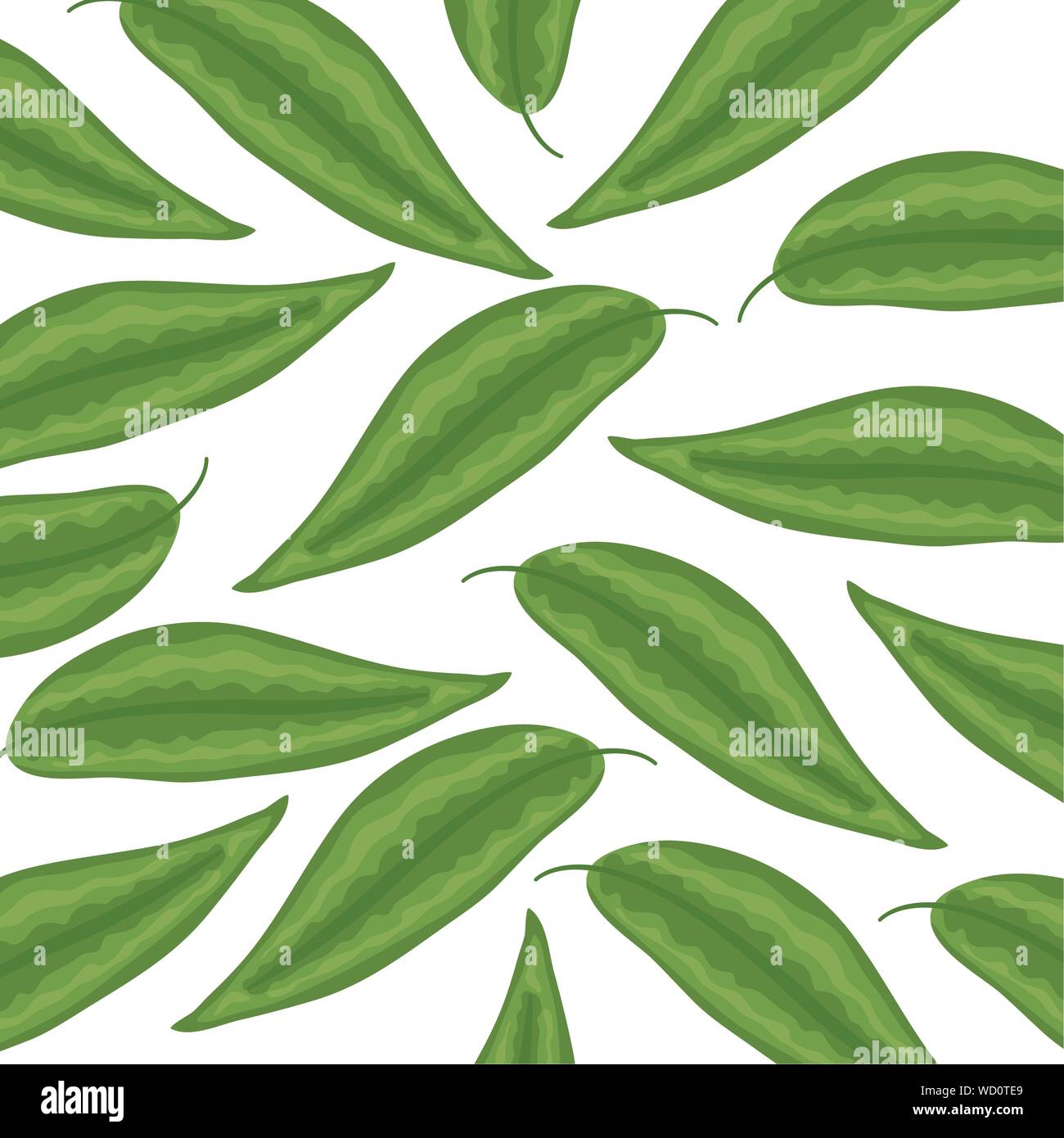 exotic and tropical leafs plants pattern vector illustration design ...