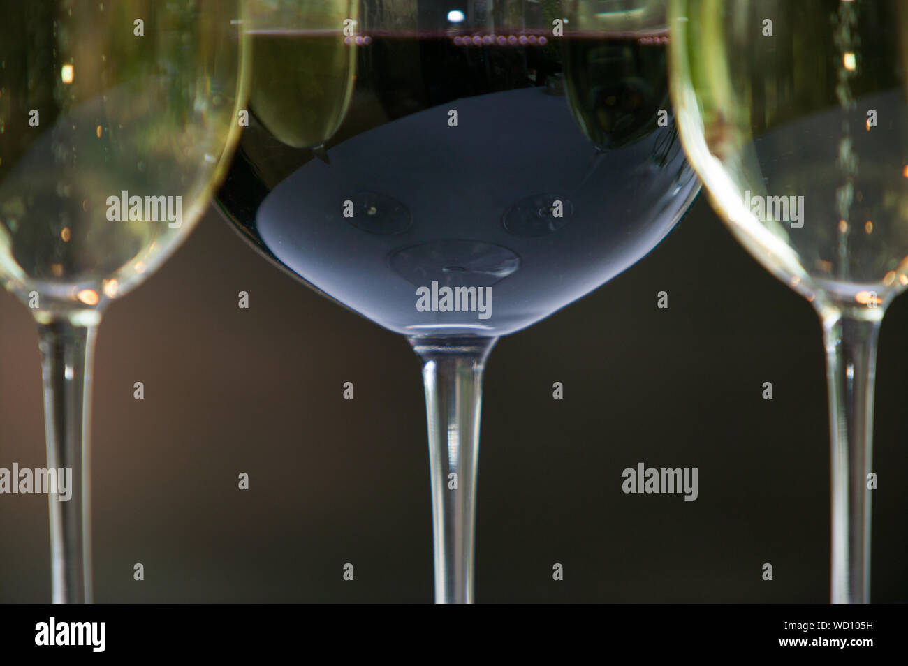 Glasses of red and white wines Stock Photo Alamy