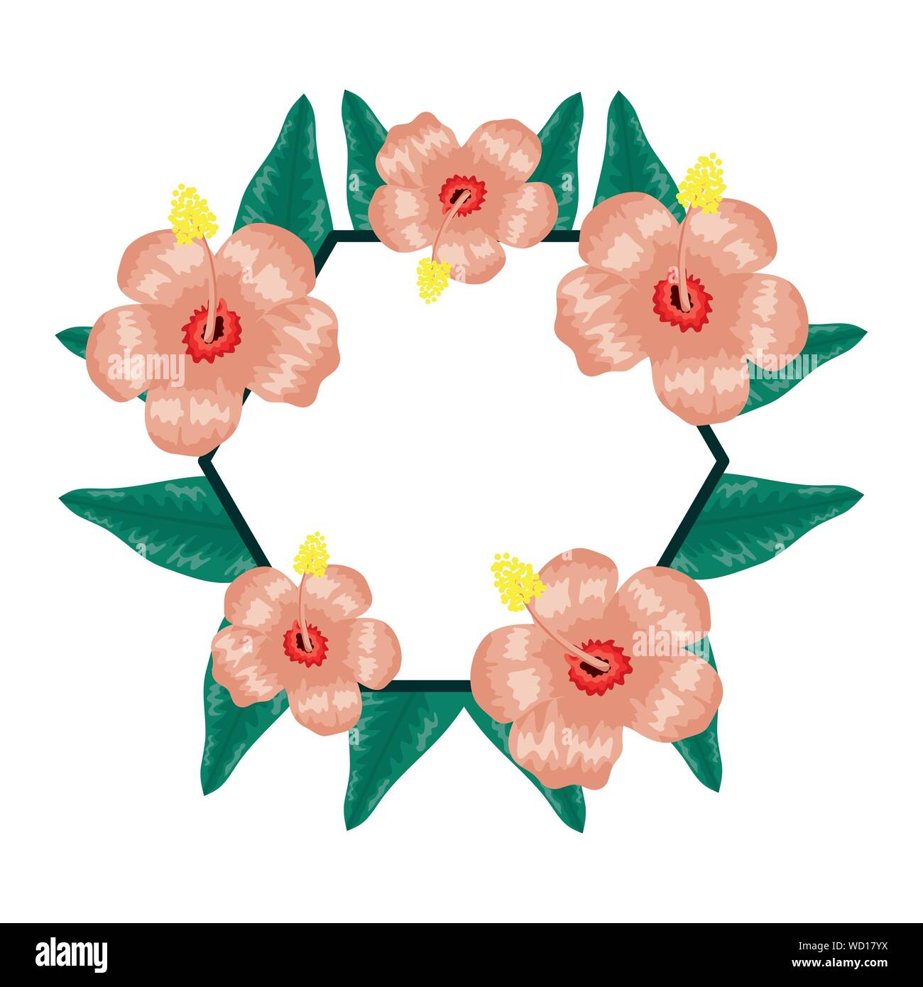 exotic and tropical flower with leafs diamond frame vector illustration ...