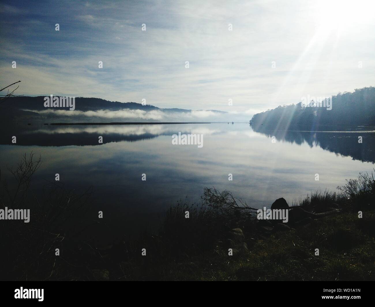 Reflecting over the lake hi-res stock photography and images - Alamy