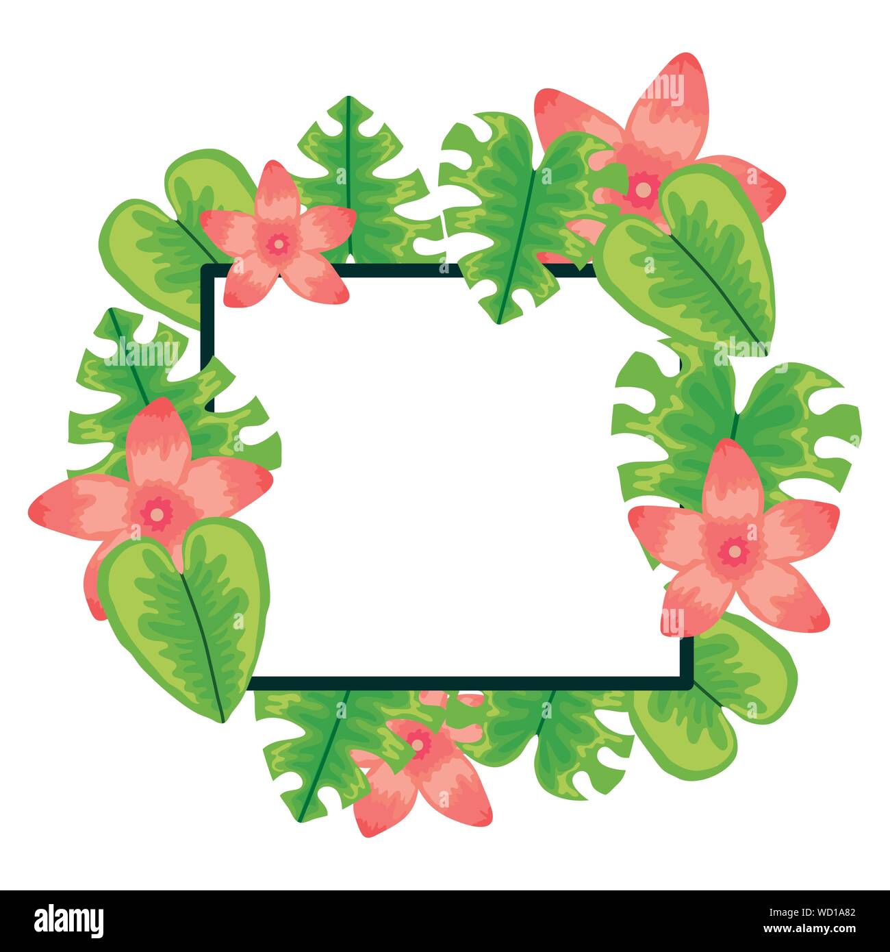 exotic and tropical flower with leafs square frame vector illustration ...