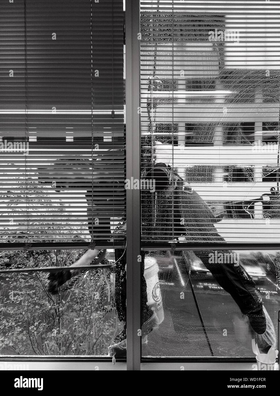 View Of Window Washer Cleaning Stock Photo