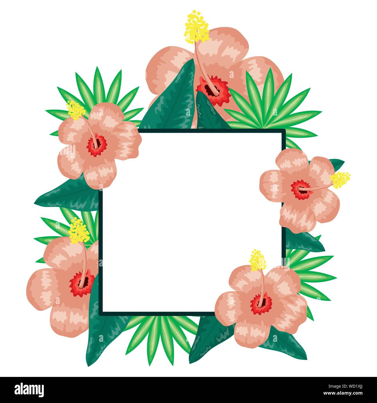 exotic and tropical flower with leafs square frame vector illustration ...