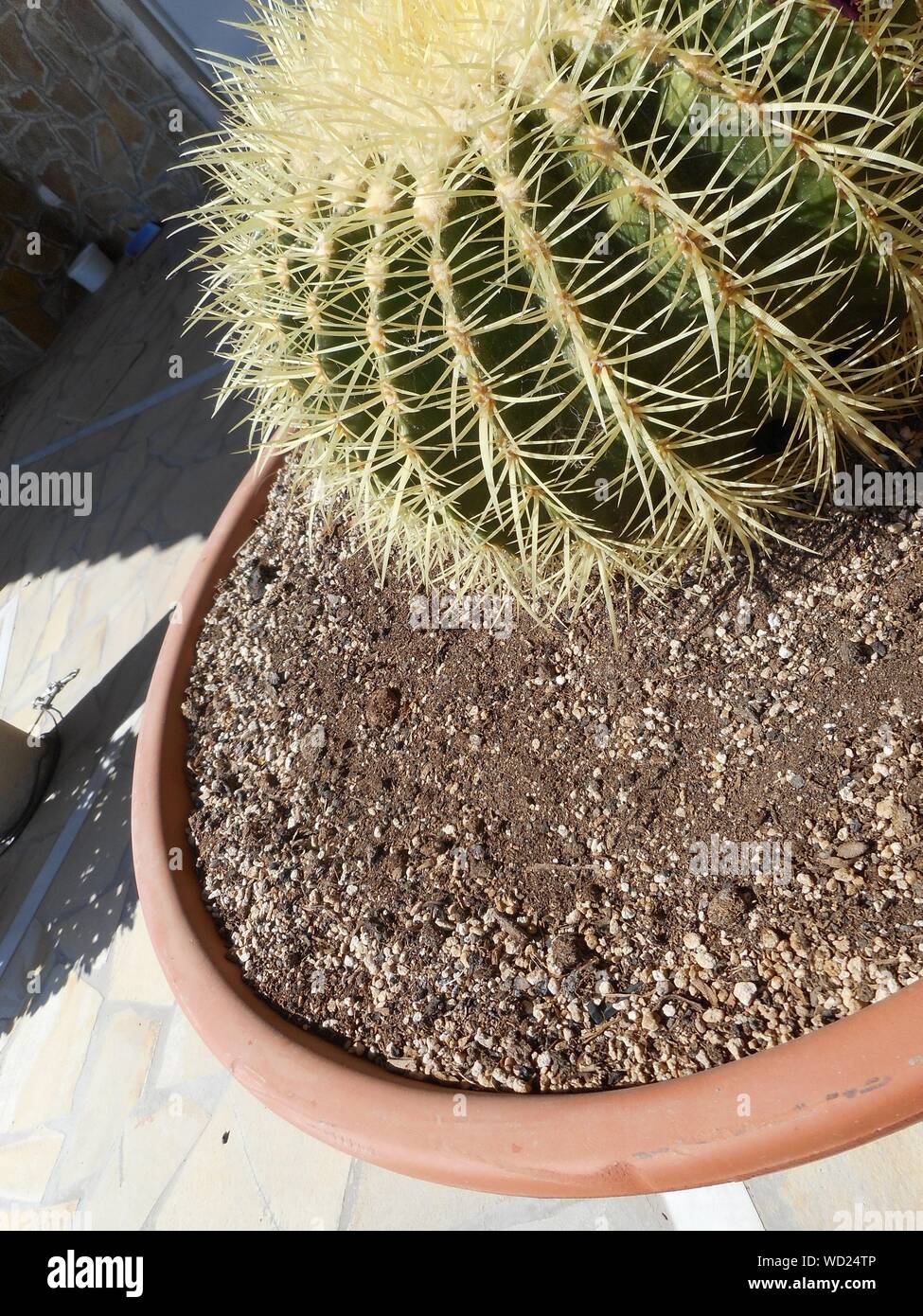 The tilt yard hires stock photography and images Alamy