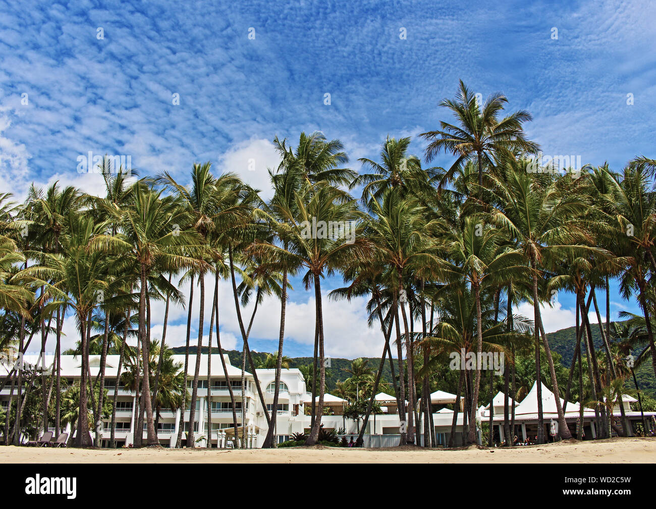 Palm Cove beach resort hotels, restaurants, palm trees, blue painted skies. Stock Photo