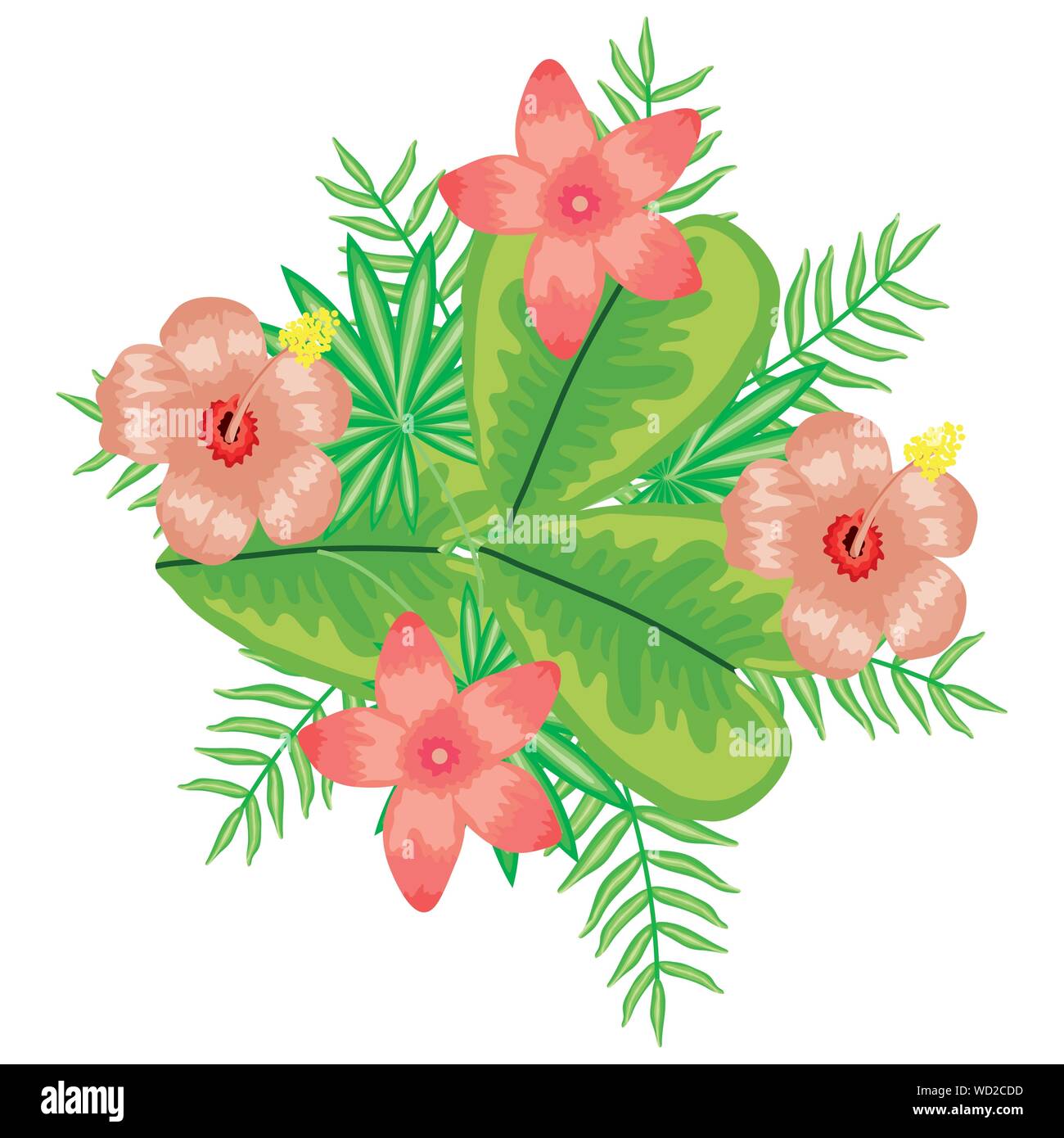 exotic and tropical flowers with leafs garden decoration vector ...