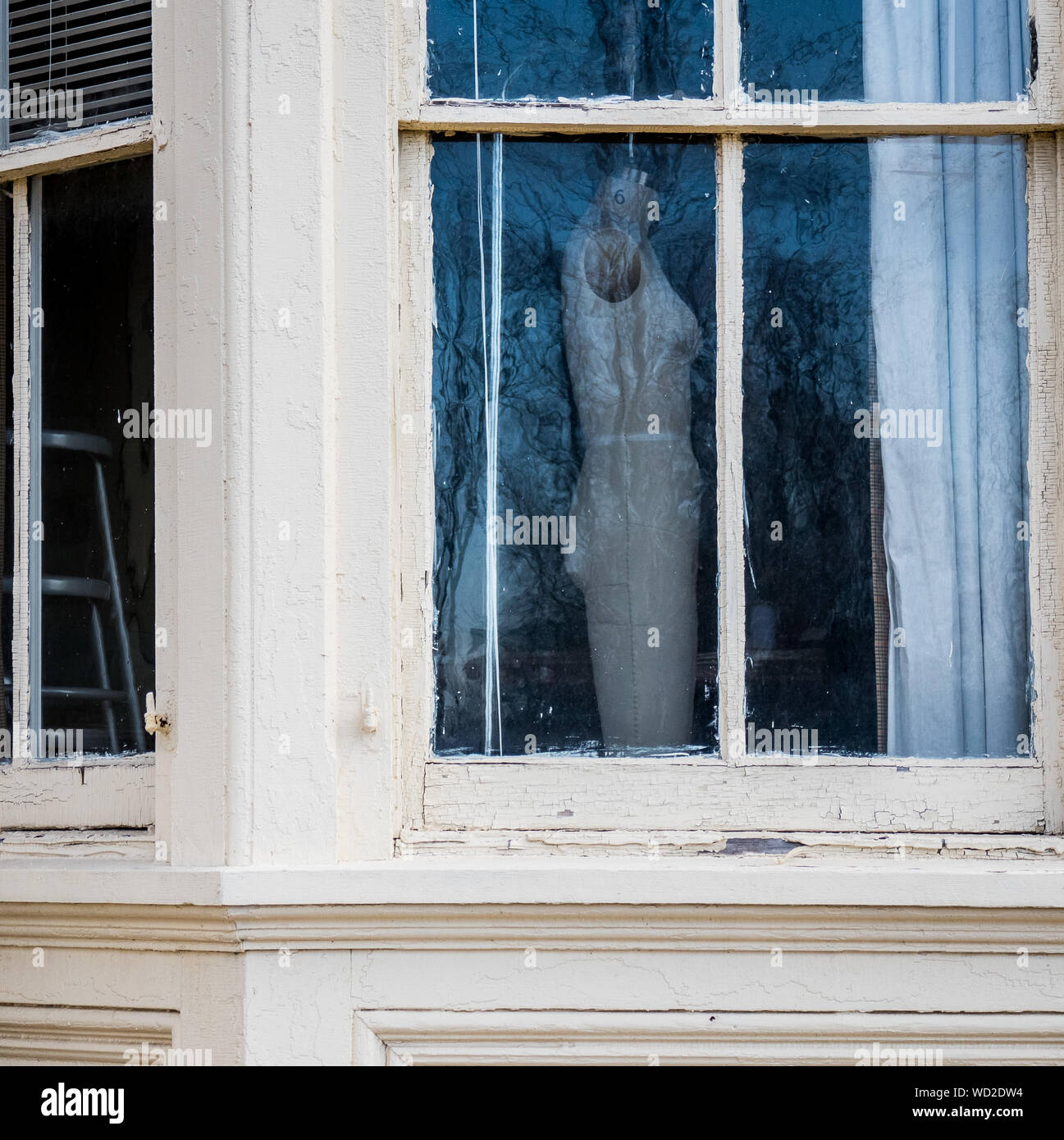 See through model hi-res stock photography and images - Alamy