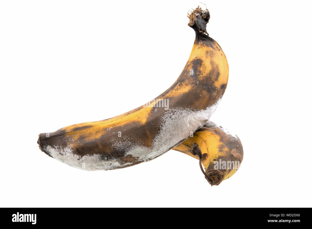 How bad are bananas hi-res stock photography and images - Alamy