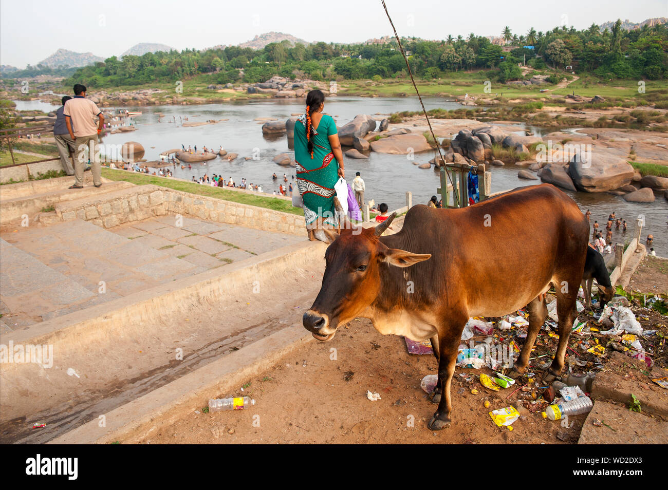 Sacred cow walking freely at Hampi, Tungabhadra river in the background, Hampi, Karnataka, India Stock Photo