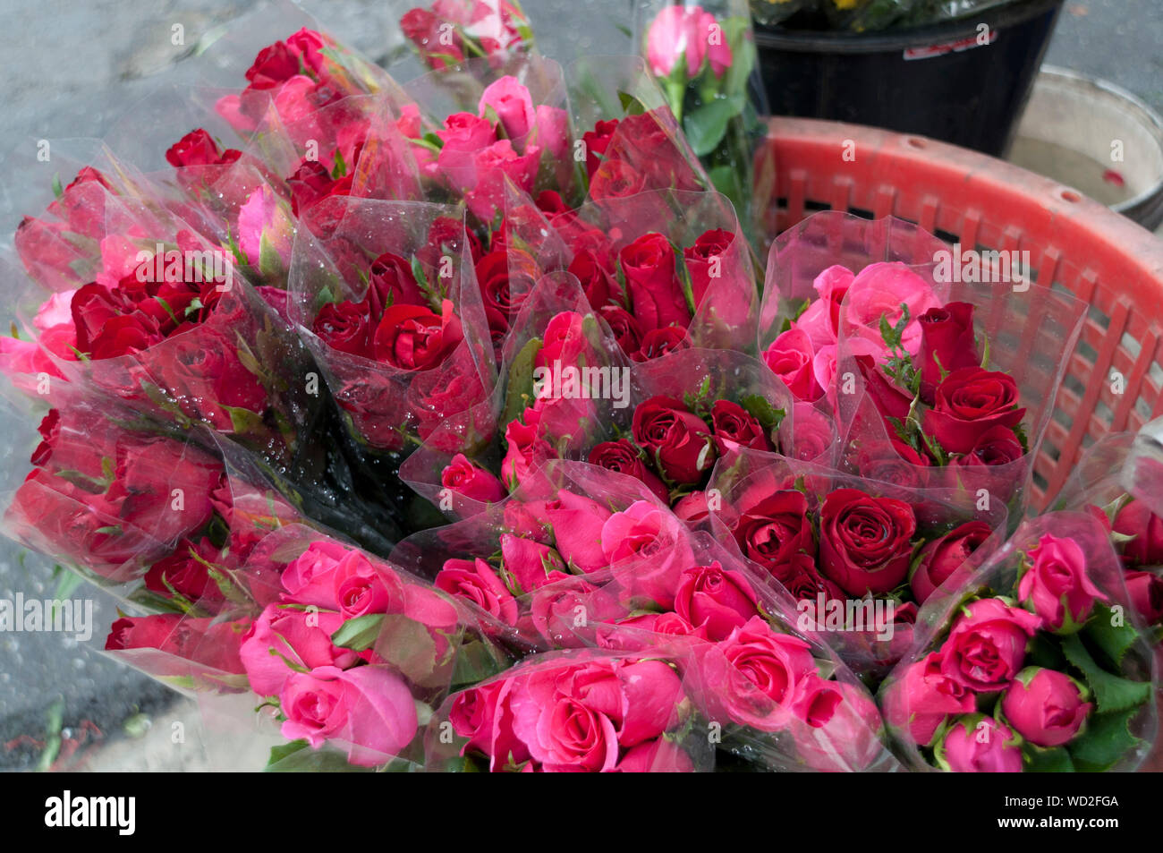 Sale of roses hires stock photography and images Alamy
